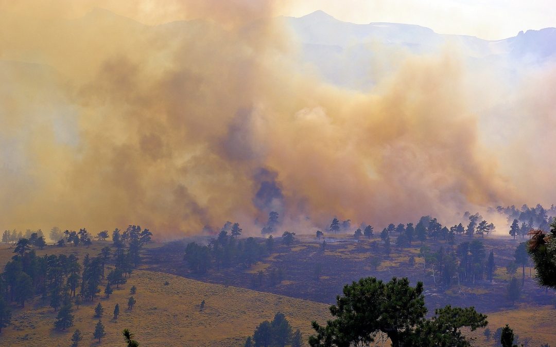 Dinas Damkar Barito Utara Bersihkan Tumpahan Oli di Perbukitan