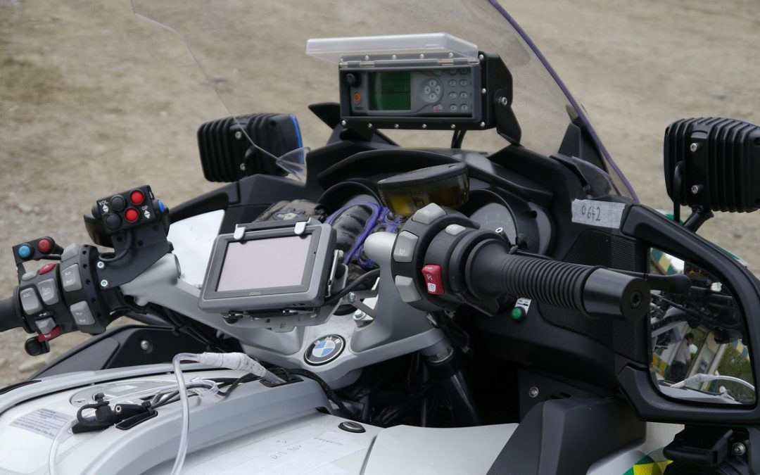 Evakuasi Ular di Sekolah